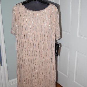 Sequin Shift Dress
